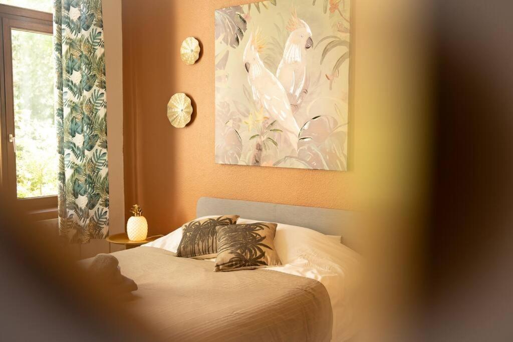 Villa Camelia, Un Charme Montois Mons